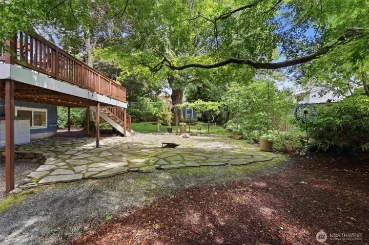 Expansive Yard