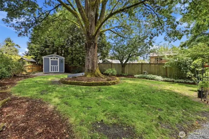 And still more yard
