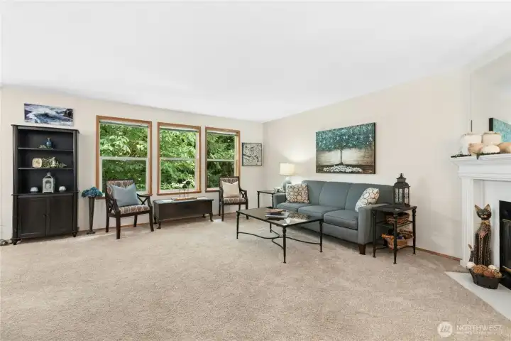Spacious Living room with a view