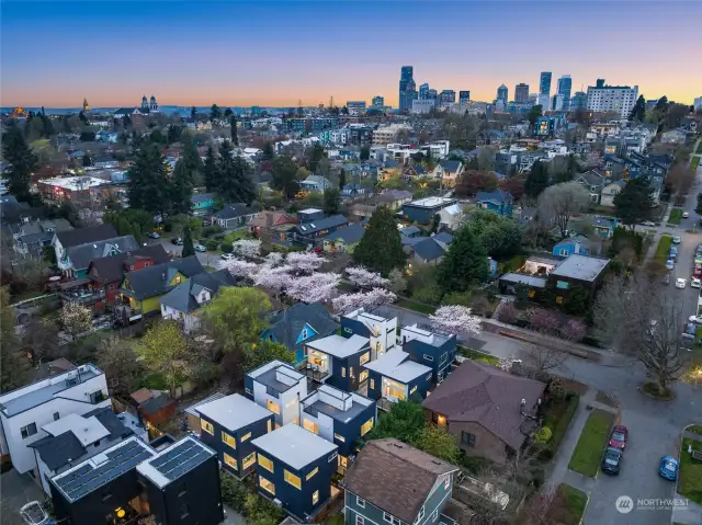 Soar above with this aerial shot, capturing Seattle's vibrant life and scenery as your stunning backdrop.