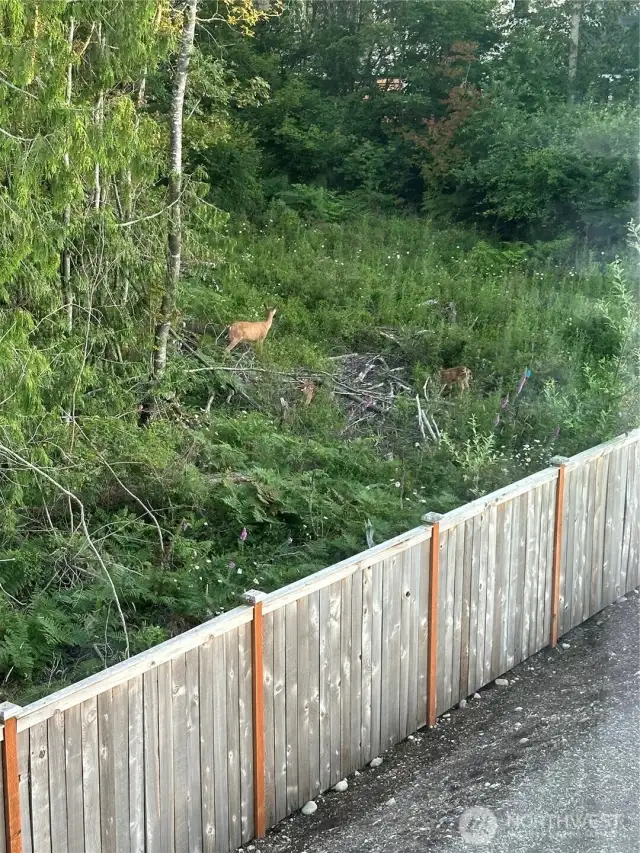 Protected greenbelt where deer roam and birds chirp