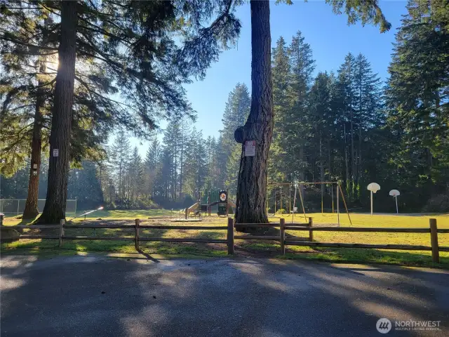 Community Fields and Courts