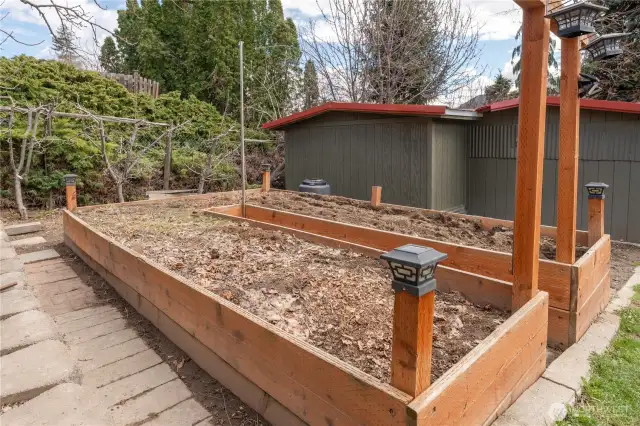 Raised vegetable beds