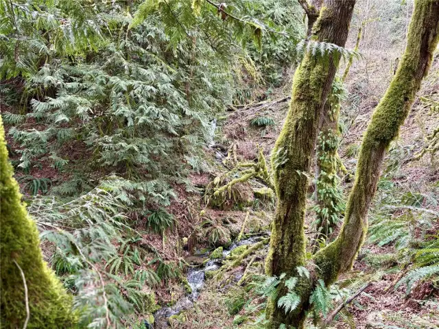 Waterfall on lower section