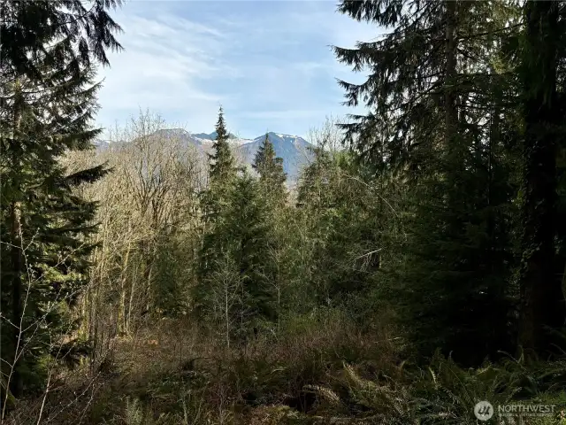 View from lower section