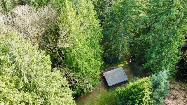 Lower cabin