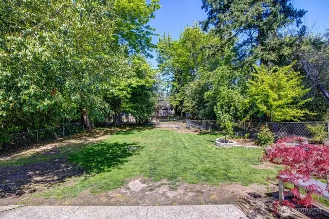 This is the view of the lot looking south toward the house, from the back fence line. The property extends to the wood fence in the distance. The cyclone fence is not the property line.