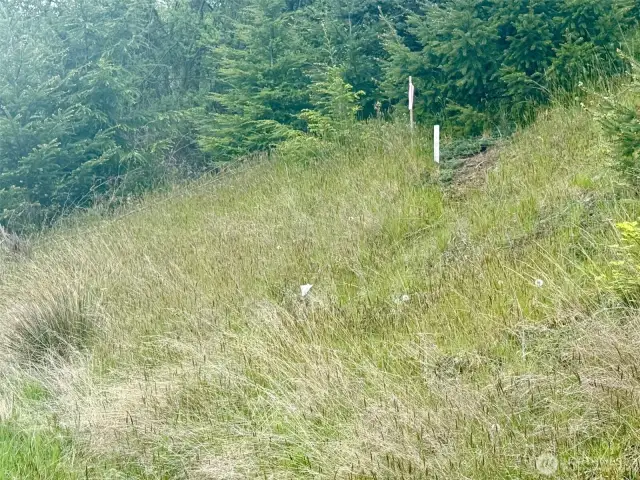 West side of property