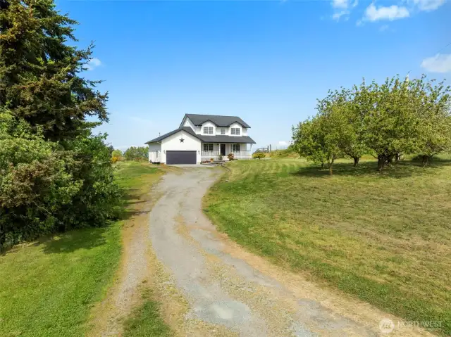 2.5 Acres, mature fruit trees, room to roam and grow!