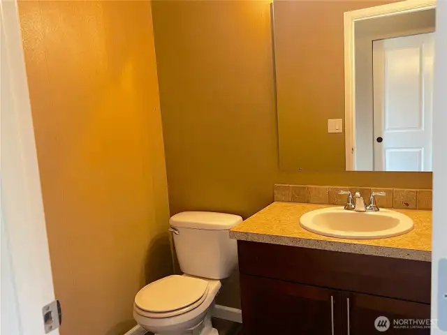 Guest bath downstairs