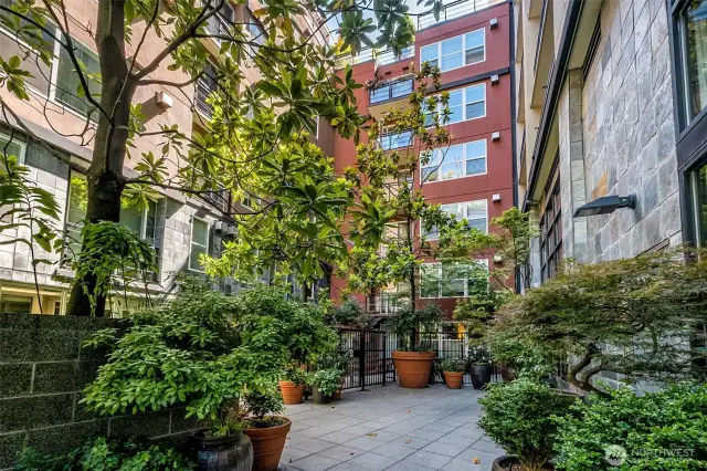 A peaceful retreat in the city! The Vine’s lush courtyard entrance invites you home with greenery, calm, and quiet sophistication