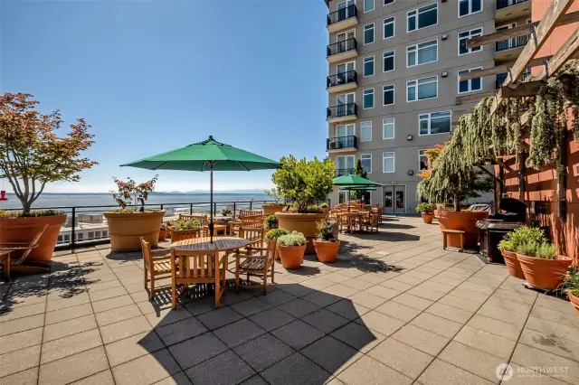 Take in breathtaking northwest views from The Vine’s rooftop deck - where the Olympic Mountains frame unforgettable sunsets over Elliott Bay.