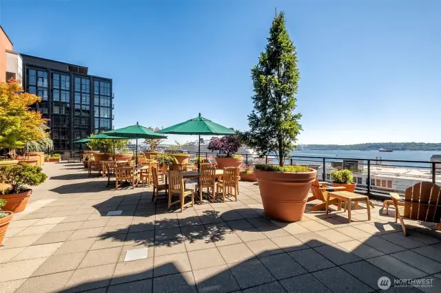 You’ll never want to leave, The Vine’s rooftop deck offers sweeping southwest views of the Olympics, Mt. Rainier, cruise ships, ferries, sailboats, and the vibrant pulse of city life