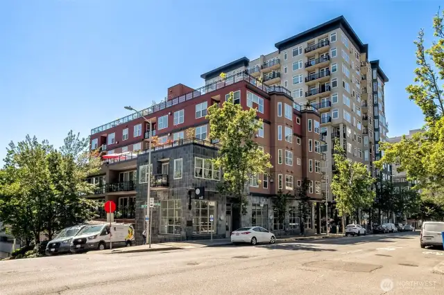Where city energy meets modern living, The Vine Condominiums stands tall at the corner of Vine & Western in the heart of Belltown.
