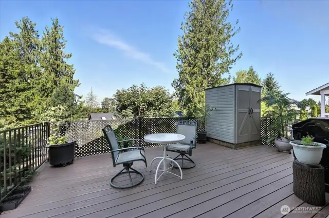Trex Decking