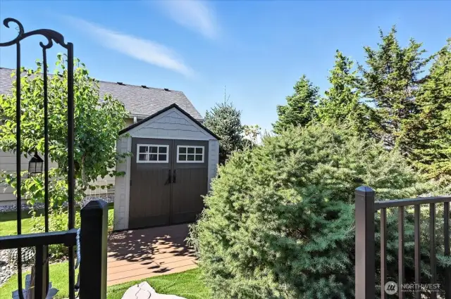 Low Maintenance Yard
