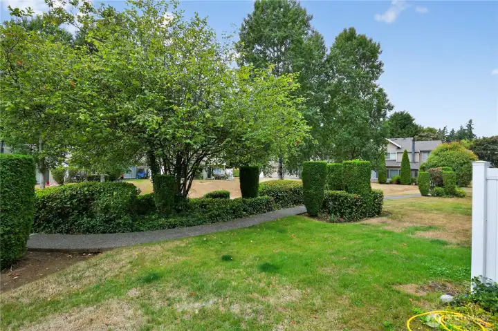 Looking from the Patio to the communal Yard Space
