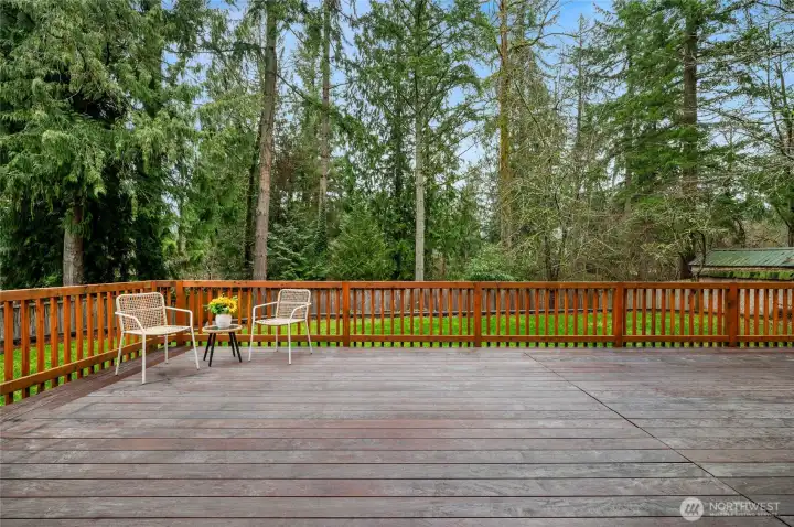 Gorgeous Brazilian Ibe deck.