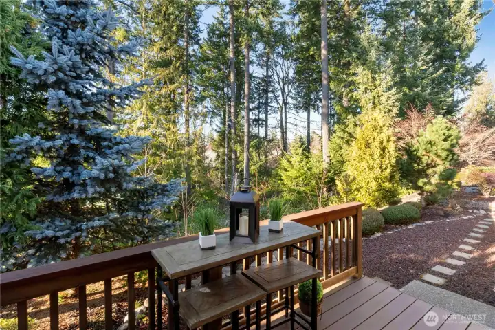 View from the back deck. Great for bird watching