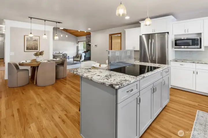 Radiant heat stove top  with integrated downdraft.