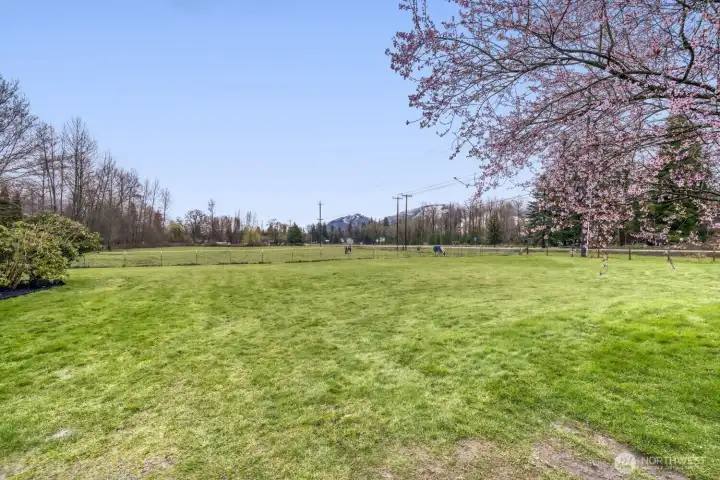 View from front yard