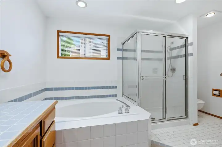 Soaking Tub and Shower