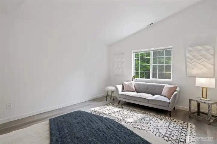 Vaulted Ceilings