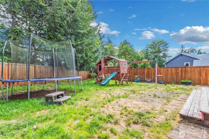 backyard backyard