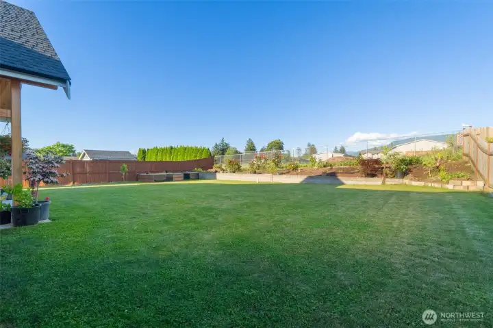 Back yard