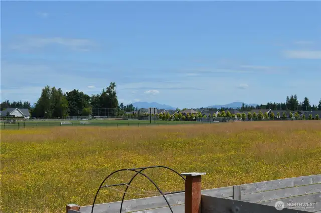 Canadian Coastal Range in the distance