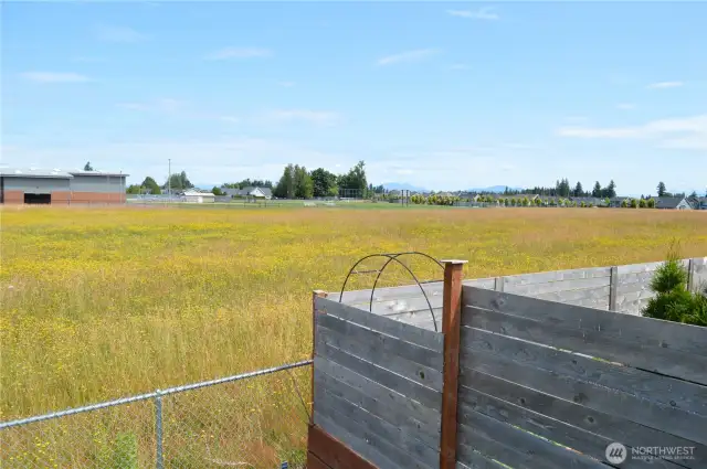 Pasture and the Canadian Coastal Range looking NE from property.