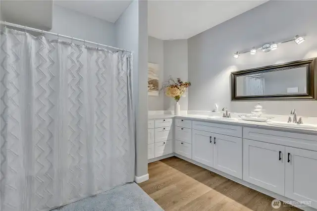Big lower level bath.