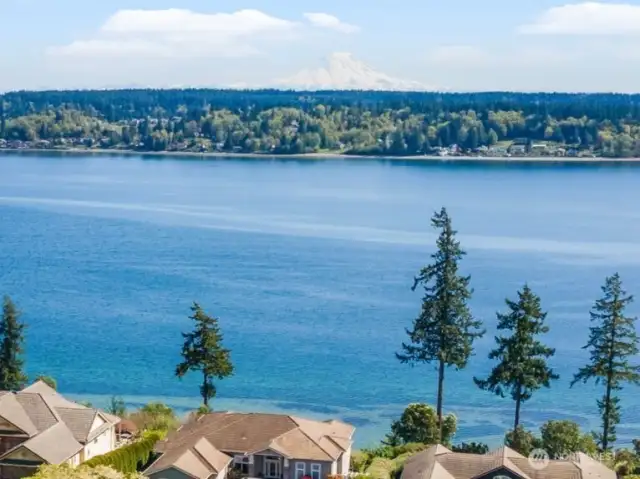 Henderson Bay & Mt. Rainier