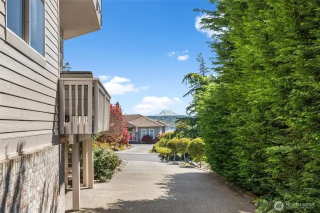 Driveway to garage
