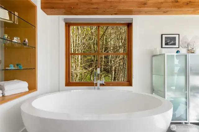 Tub with a view, anyone?