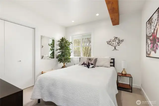 Another lower level guest bedroom with plenty of room & storage.