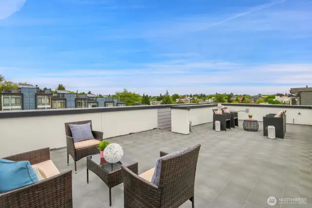 huge roof top deck - perfect for summer outdoor entertaining