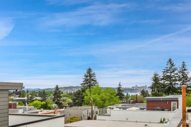 Amazing views from the rooftop deck!!