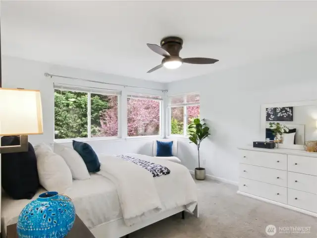 Spacious main bedroom with lots of light
