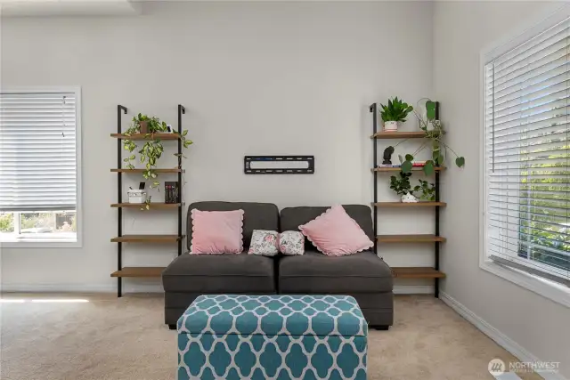 Light filled living room