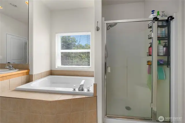 Primary en-suite bath