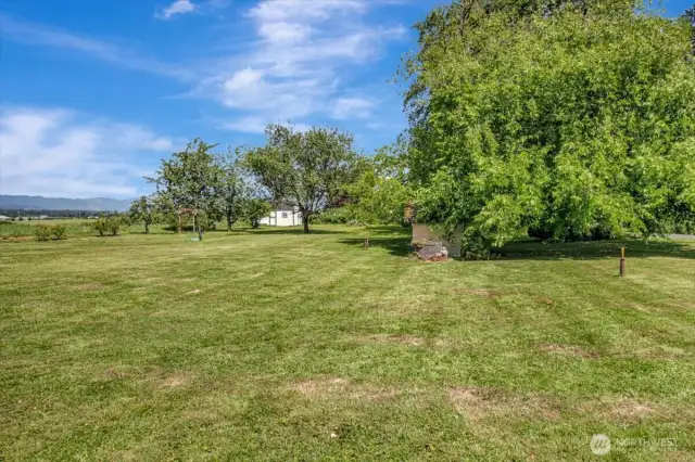 Expansive yard just waiting for you!