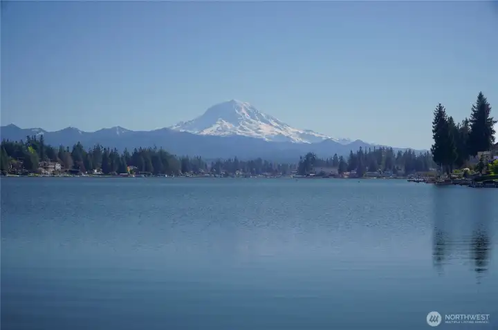 Down the Street from the Causeway, fish on the Causeway