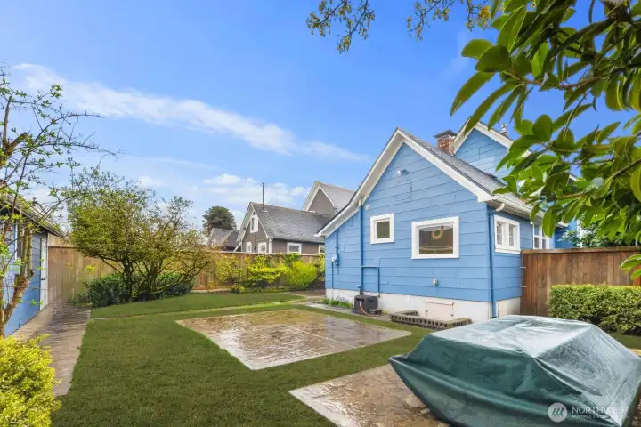 Image with grass replacement.