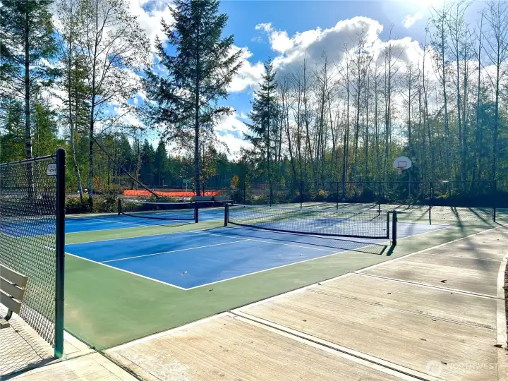 pickleball court