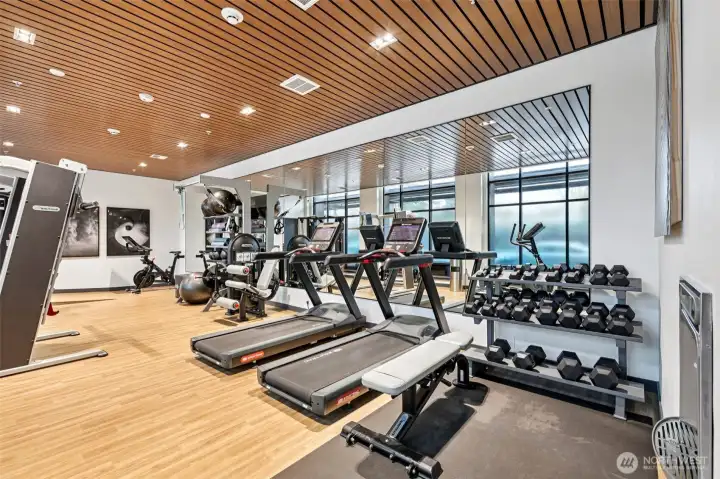State-of-the-art fitness center equipped with professional-grade cardio and strength training tech