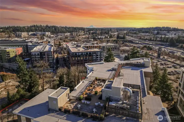 Breathtaking rooftop terrace featuring panoramic vistas of Mt. Rainier and the Cascades, complete with an alfresco grilling station for unforgettable summer soirées