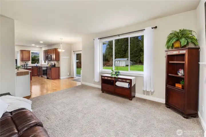 Picturesque views of the Backyard from the Family room