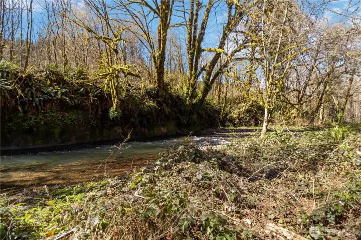 Creek path easy access