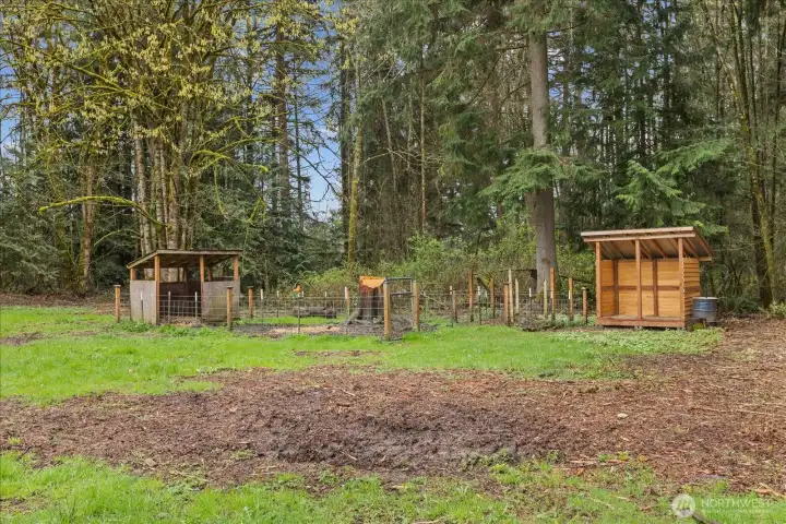 Tucked within the trees, this wooded area includes covered animal shelters and offers flexibility for a variety of uses.